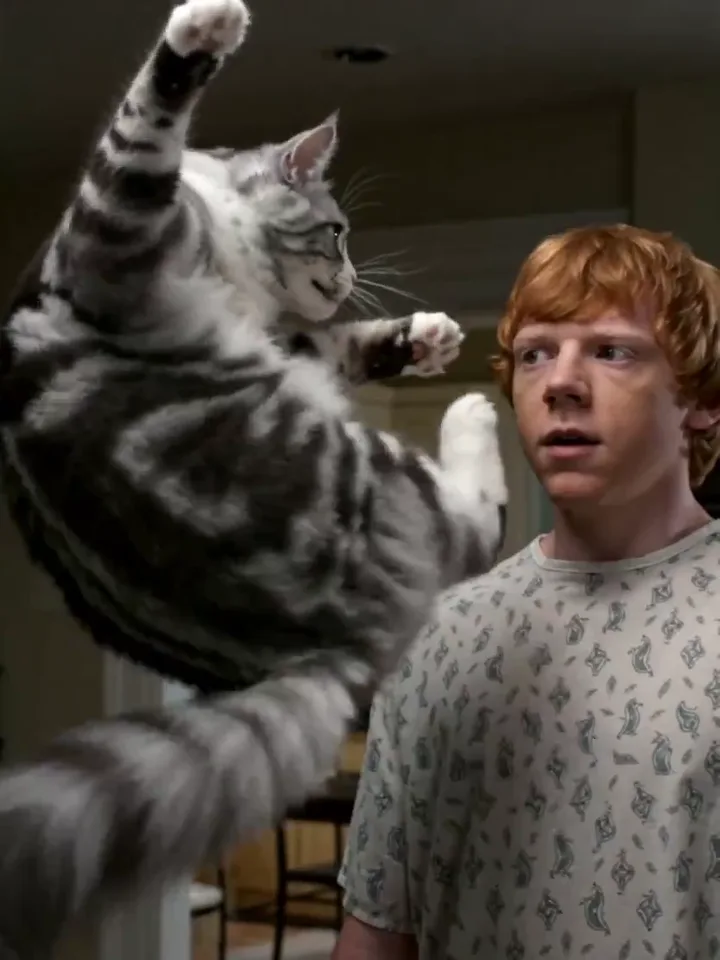 Muted autoplay cat video remix example with a face punch effect